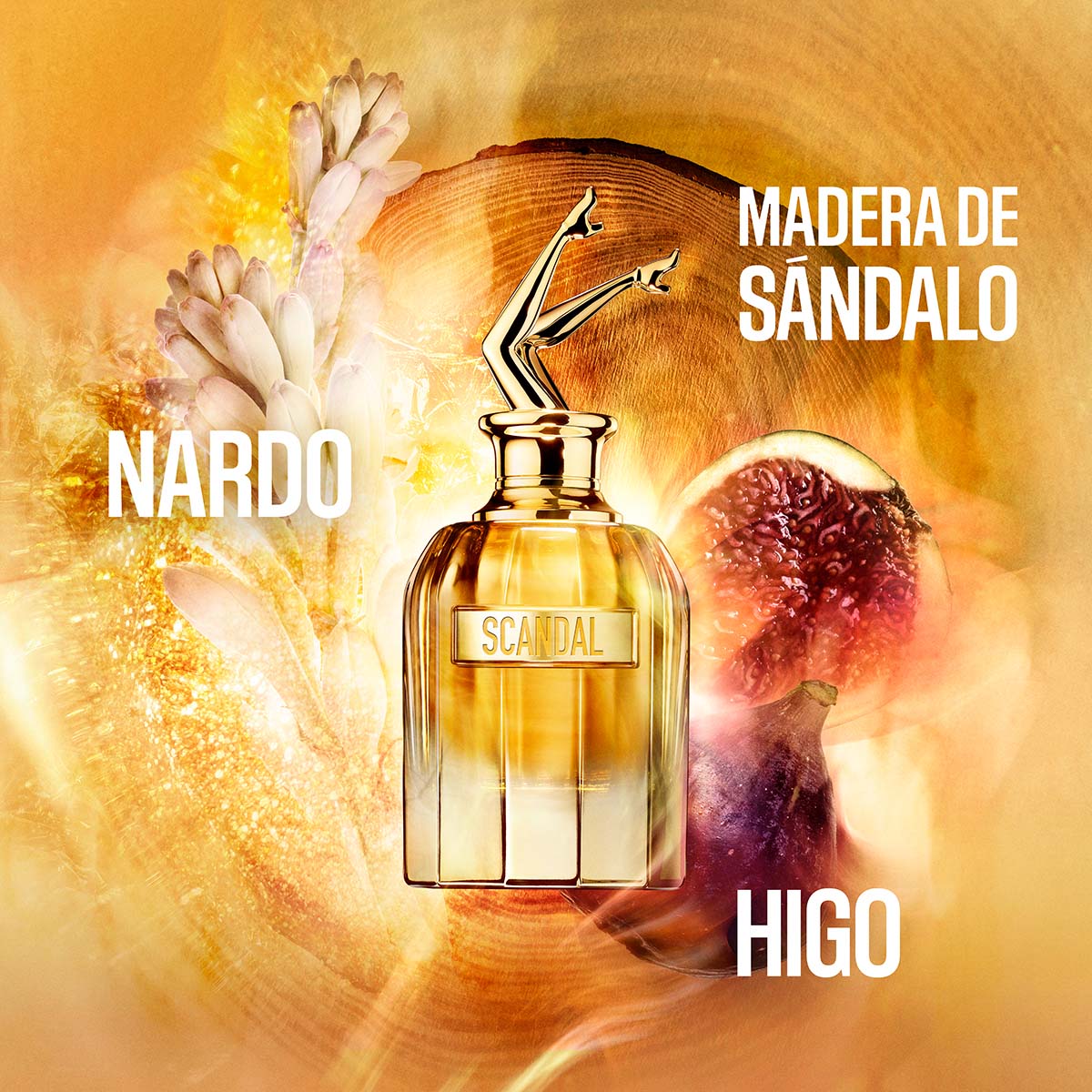 SCANDAL ABSOLU PARFUM CONCENTRÉ